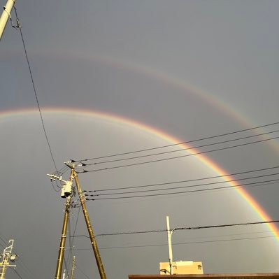 YCDa2zzvlt18937's profile picture. 底辺not芸