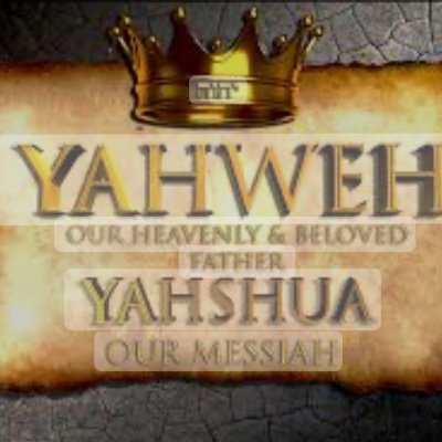 LucyCintron's profile picture. MC1R genetic mutant: Which translates to I’m a real redhead👩🏻‍🦰