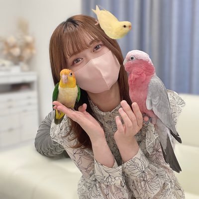 サザナミインコ(おもち) ＆ モモイロインコ(みりん) ＆シロハラインコ（とろろ）🐣飼い主のあんずが鳥との毎日を配信中➡︎ https://t.co/o4acNTvEyl ︴ご依頼等はDMまたはメールまでお願いします💌