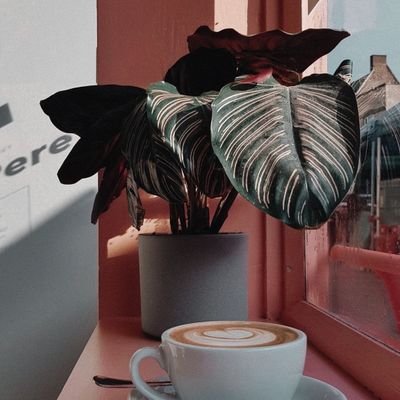 Kayuz15's profile picture. 🌹💯