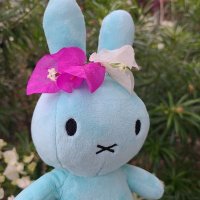 やんじー (@yhawaii3) 's Twitter Profile Photo