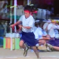 いかめか (@turtle3135) 's Twitter Profile