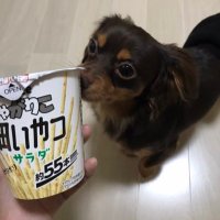 ねむくんねむねむ (@tapi______) 's Twitter Profile