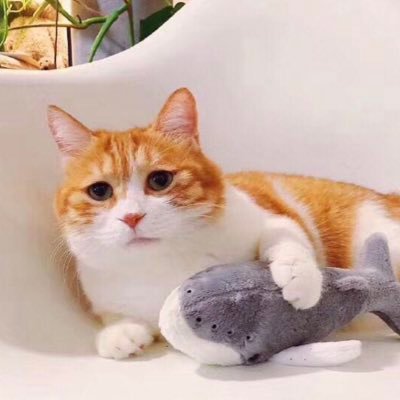 poxianpoxian's profile picture. go fun yourself