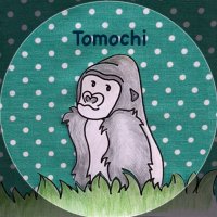 ともち (@tomochiberry) 's Twitter Profile