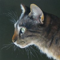 Lesley R Mclaren(@LMclarenArt) 's Twitter Profile Photo