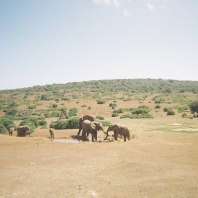 _tinyleaf's profile picture. 法政大学経営学部