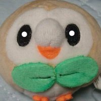 ぴ〜のってぃ (@pinotchi_jrk885) 's Twitter Profile