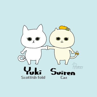 すいれんさんのプロフィール画像