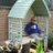 DavidLHaig39764's profile image