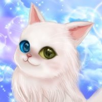 🐾くみこはく🐾 (亡き愛猫琥珀と合わせました)(@935_Kohaku) 's Twitter Profile Photo