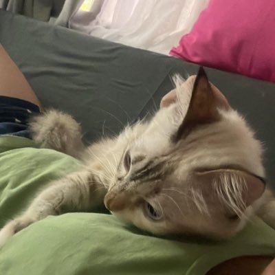 mimingsmom's profile picture. watch me whip