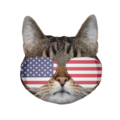 freedom loving cat, believes in free crypto markets, as God intended $USACAT

ca: 

tg: