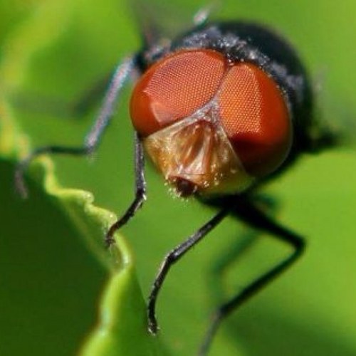 LeiWebDesign's profile picture. 