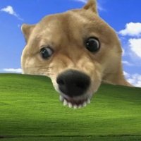 Knusperchips (@knusperchips) 's Twitter Profile