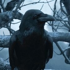 BiPsycho's profile picture. Proprietor of Precise Chaos