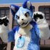 タクライ🐺🐲 (@wfrufut8dogk) Twitter profile photo タクライ🐺🐲 (@wfrufut8dogk) Twitter profile photo