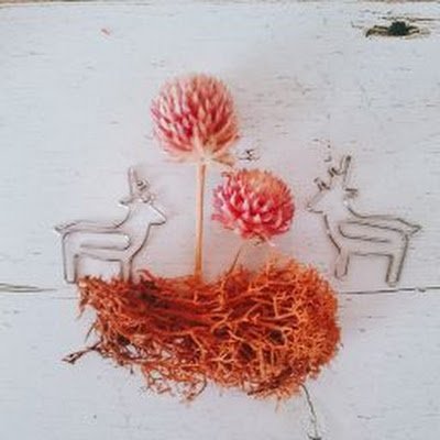 A_newchallenge's profile picture. 