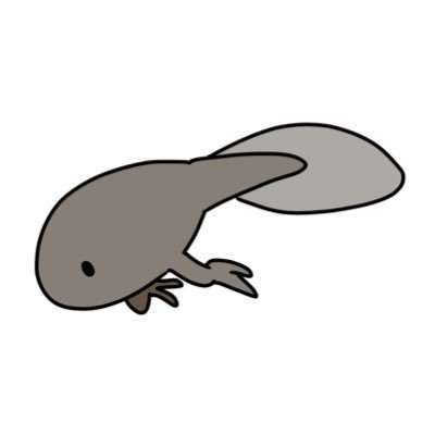 あしじゃくしさんのプロフィール画像