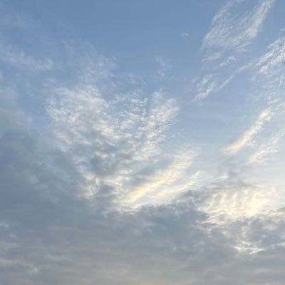 A_msy_tt's profile picture. Aぇがデビュー発表したのを機に、Aぇ用のX作りました！