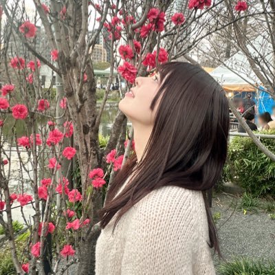 藤井 菜央さんのプロフィール画像