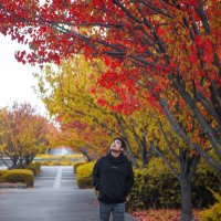 B A U S A B (@bau_sab) 's Twitter Profile