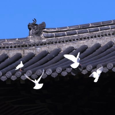 CoderYt's profile picture. 业余无用产品制造师，例如： https://t.co/CezMUBJe3A / https://t.co/W9XSrVRu1y / https://t.co/7N2unMXNr2 / https://t.co/di5yKIAGPx 等，开发创办运营过古早网站『前端乱炖』，古早 app『颜文字输入法』。