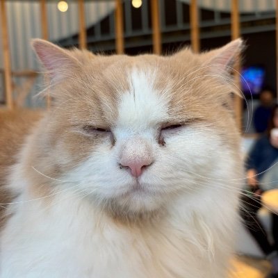 asai_chie's profile picture. 細々と生きてます