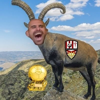 Follar está bien, pero ser de la Unión Depresiva Logroñés es otro rollo.
Asier Goti fan account🐐
Equipo con la mejor ciudad deportiva de 2RFEF.