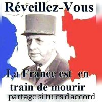 ♰🇨🇵⚜ #SauvonslaFrance 🕊🗽🔥(@NoPassNoMask) 's Twitter Profile Photo