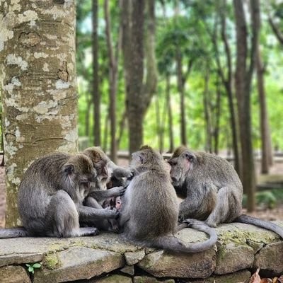 SkyNxD_87's profile picture. 