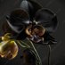 Mitra_Aphrodite / AtA Master (@ata_mitra) Twitter profile photo Mitra_Aphrodite / AtA Master (@ata_mitra) Twitter profile photo