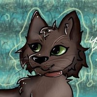 Kater𓃠 (@sevencats_16) 's Twitter Profile