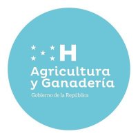 SAG Honduras(@saghonduras) 's Twitter Profile Photo