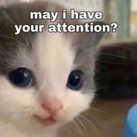 Tammy (@sadbness) 's Twitter Profile