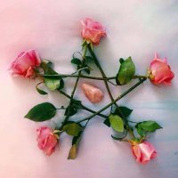 ReSiStarSiSTAR (@fukkfoxrbeitch) 's Twitter Profile