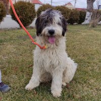 Christine Goodall (@manyriverstox) 's Twitter Profile Photo Christine Goodall (@manyriverstox) 's Twitter Profile Photo