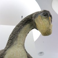 Takuya Imai (@imai_takuya) 's Twitter Profile