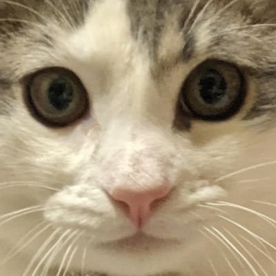 ♡ピノキオピー・Hylen/Remixer・DJ/アニリミ/ボカリミ/Psytrance
↓のリンクからいろいろ見れます