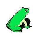 ゲコりんさんのプロフィール画像