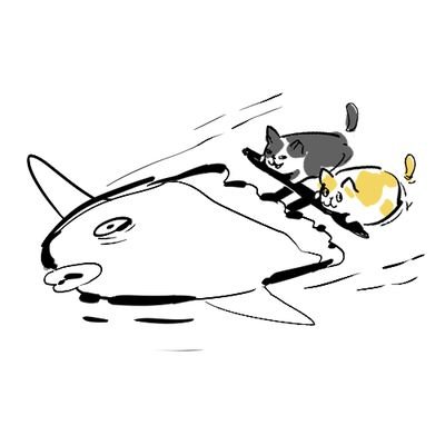 원석계이지만 고영이와 음식 사진이 더 많은 일상계
일상 생활 이야기가 많아서 맞팔 및 팔로우는 잘 받지않습니다
당신이 싫은게 아니라 제 일상이 부끄러운 것입니다..🥹