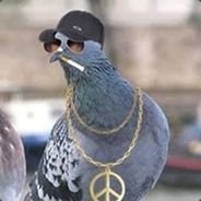 rggwynn's profile picture. Championing #XRP #BTC #ADA | Advocate for a digital future.