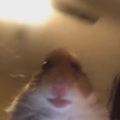 TimotejZavec_'s profile picture. 