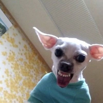 감쟈さんのプロフィール画像