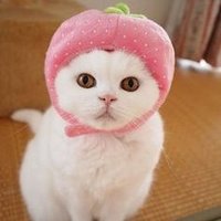 boy (@nanahadi333) 's Twitter Profile Photo boy (@nanahadi333) 's Twitter Profile Photo