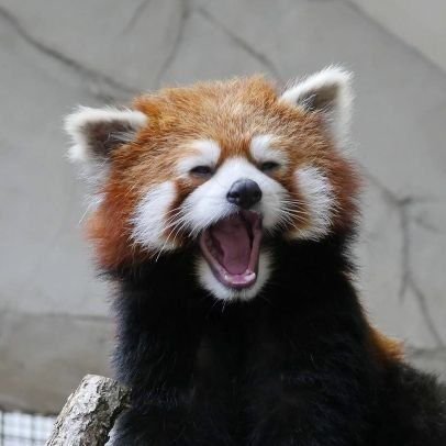 웰ㄹ치🎗さんのプロフィール画像