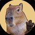 SirCapy (@pringlecapybara) Twitter profile photo SirCapy (@pringlecapybara) Twitter profile photo