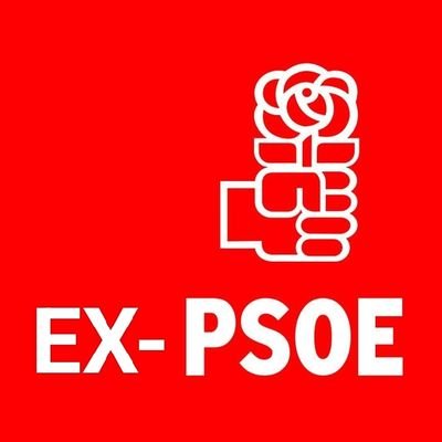 Socialista hasta que Pedro Sánchez comenzó a mentir, que no cambiar de opinión, sin ningún pudor. La falta de palabra es lo que más detesto.