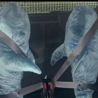 Tamu (@tdtepp06tztucij) 's Twitter Profile