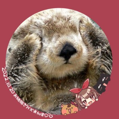 しえらっこ🌙🎀さんのプロフィール画像